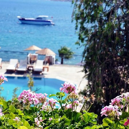 Omar Hotel & Suites Torba Exterior photo